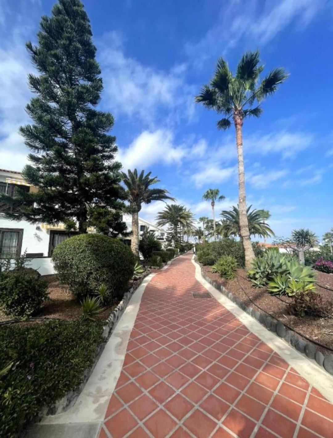 Apartment In Amarilla Golf 2 Bedrooms San Miguel de Abona Exterior foto